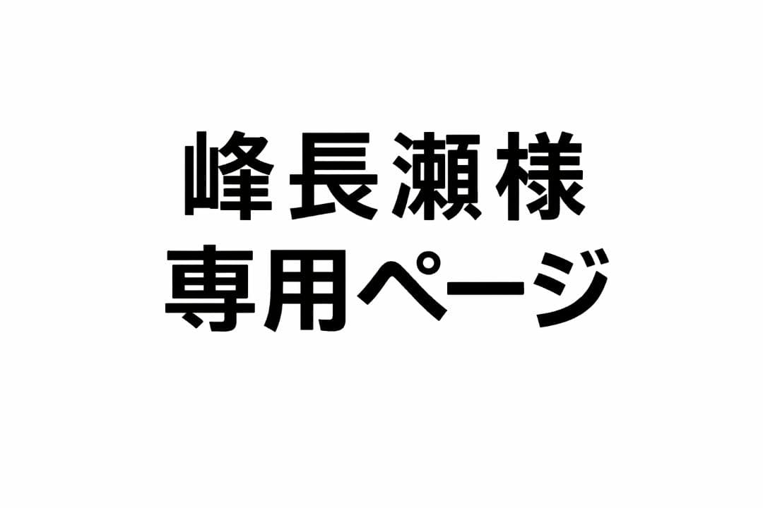 峰長瀬专用ページ Google Pixel 9 Pro XL 128GB
