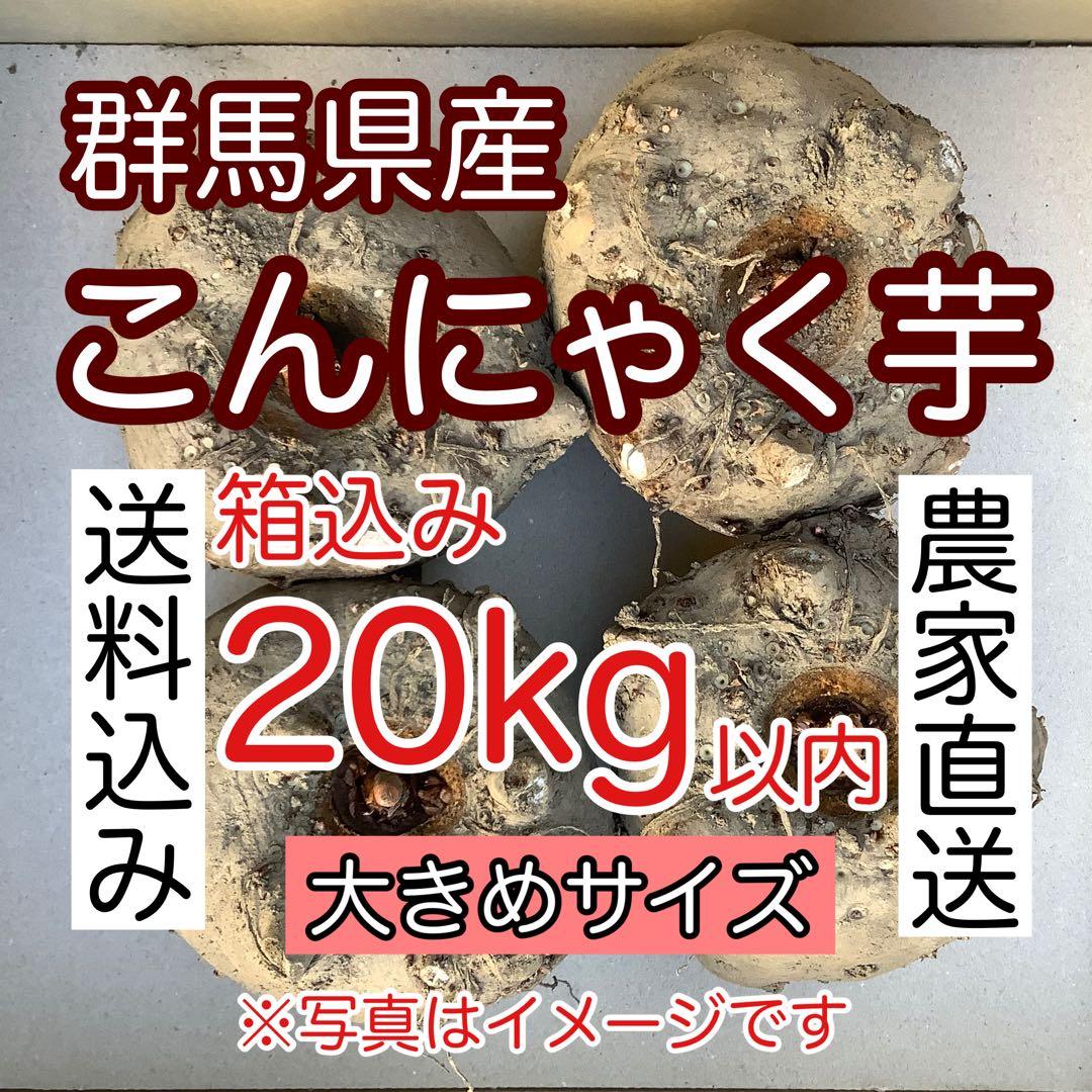 【群馬県産】こんにゃく芋　箱込み20kg以内　手作りこんにゃく用【大サイズ】