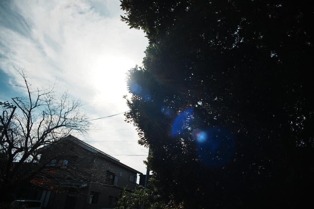 【整備＆テスト済】Nikkor-N・C auto 24mm F2.8 593