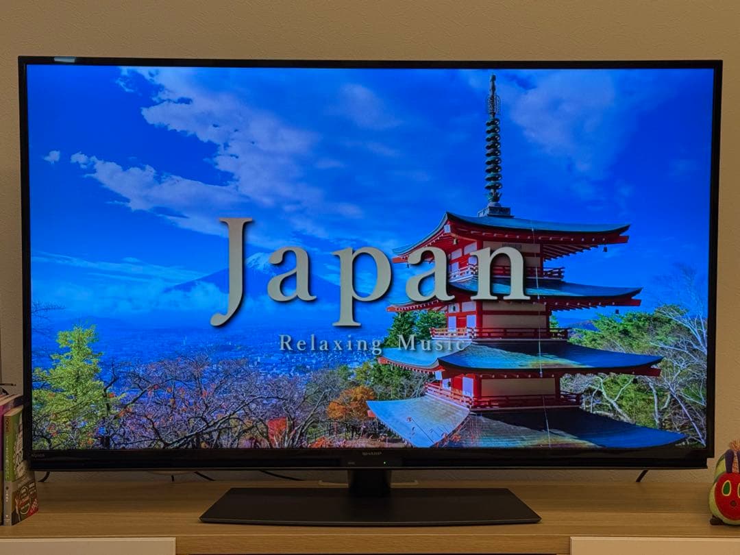 【美品】SHARP 50インチ 液晶テレビ 4T-C50BL1