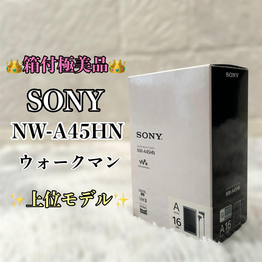 【極美品】 ソニー ウォークマン Aシリーズ NW-A45HN 　SONY