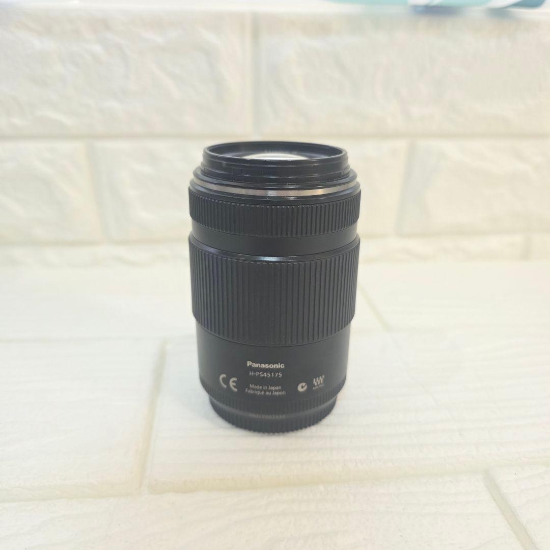 387】Panasonic LUMIX G 45-175mm H-PS45175