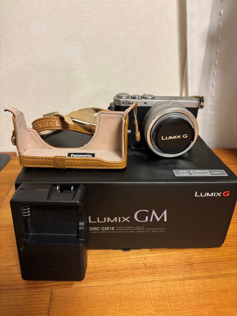 Panasonic デジタル一眼カメラ DMC-GM1K-S