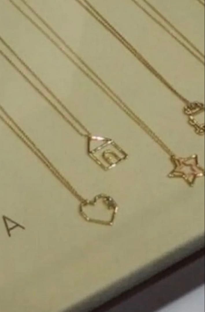 ヤ*す様 即購入OK 新品 aliita アリータ ハウス 家 ネックレス ルビ