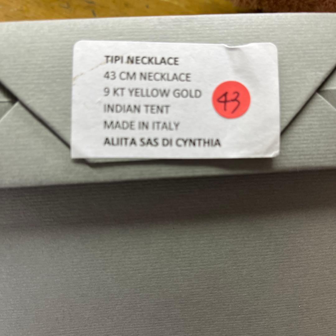 ヤ*す様 即購入OK 新品 aliita アリータ ハウス 家 ネックレス ルビ