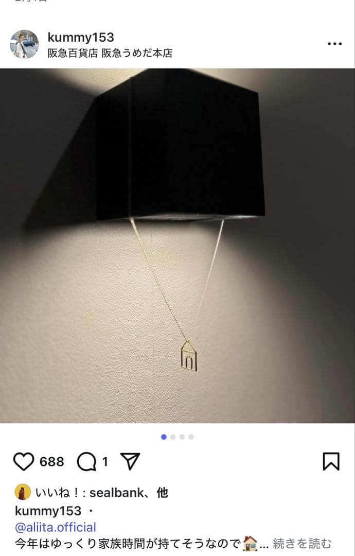 ヤ*す様 即購入OK 新品 aliita アリータ ハウス 家 ネックレス ルビ