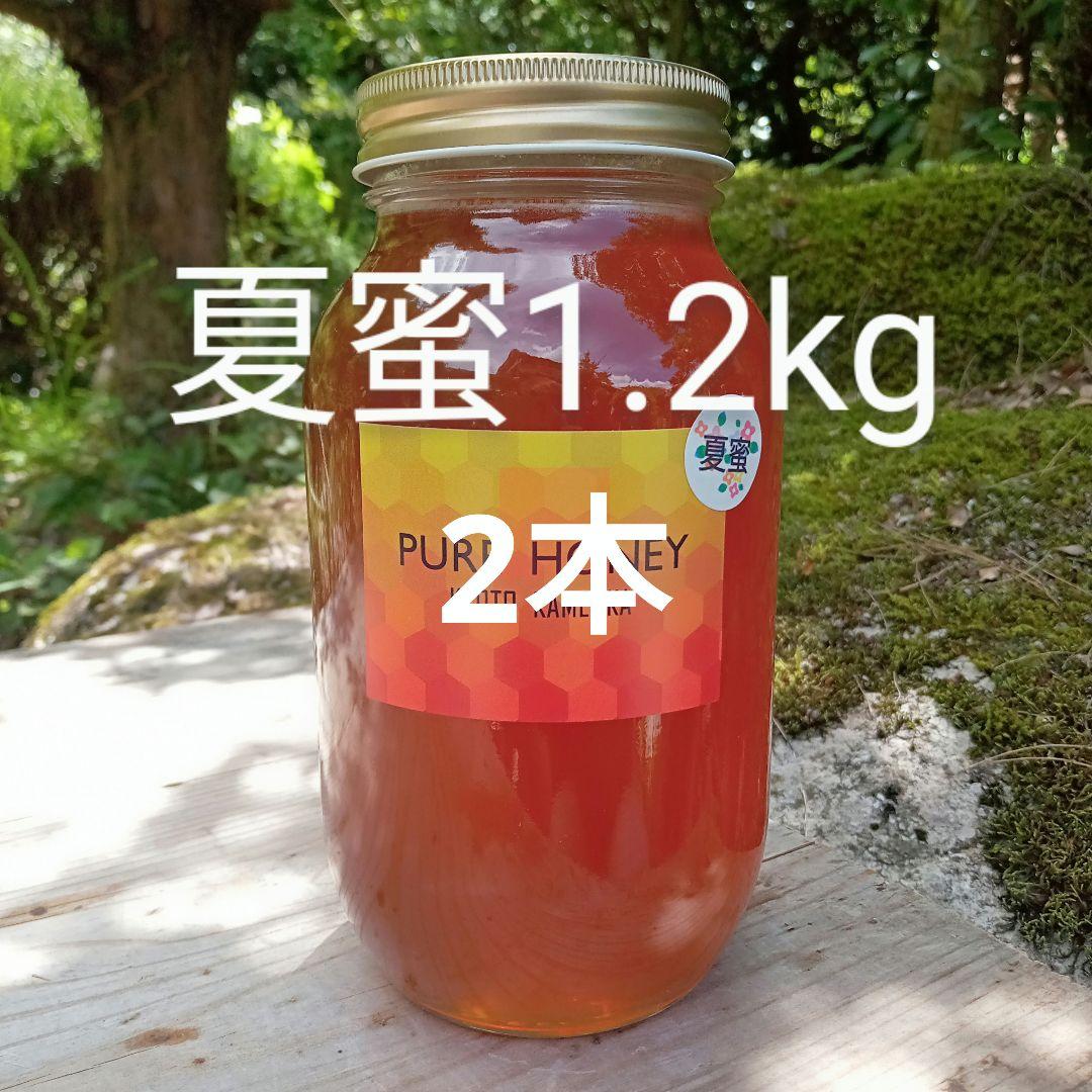 蜂蜜　Surfになります