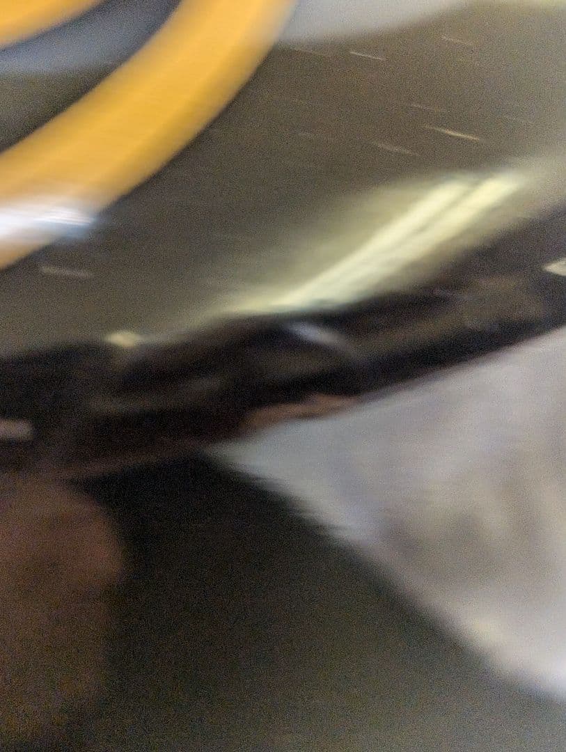 大名道具 時代 家紋 蒔絵 喰籠 井伊家 丸に橘 金蒔絵 大平 菓子器 木箱入り