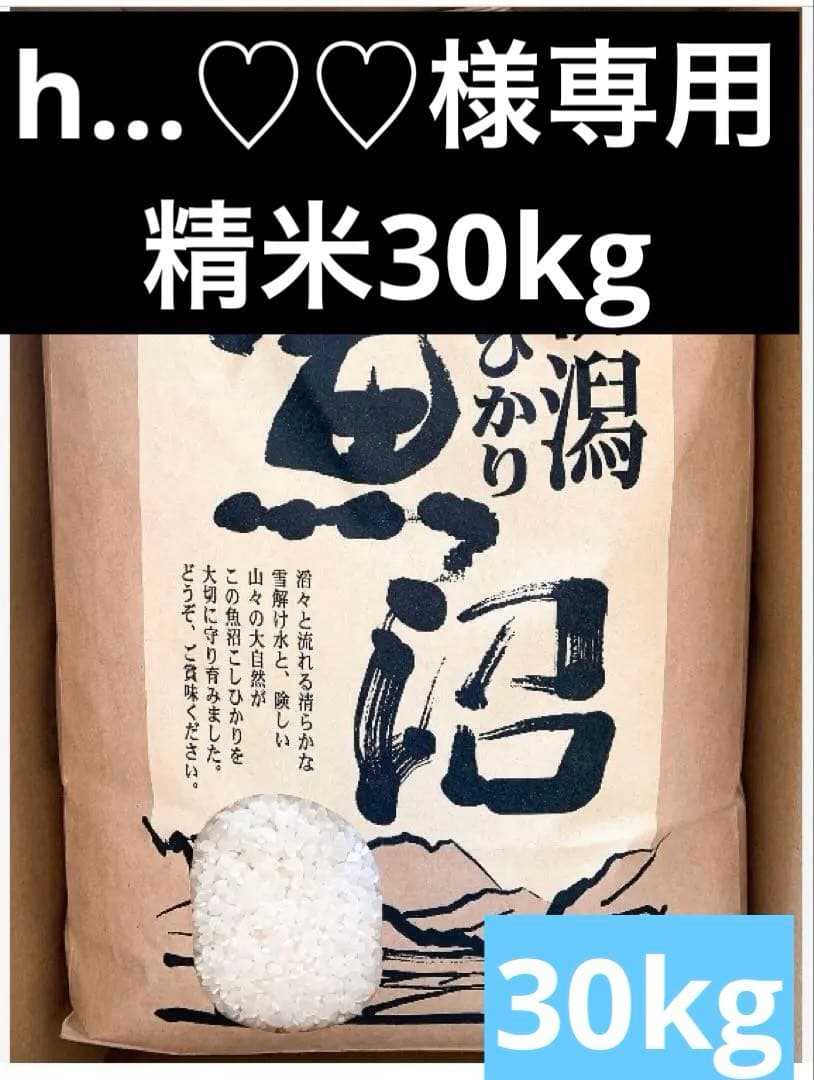 令和7年魚沼産コシヒカリ精米30kg