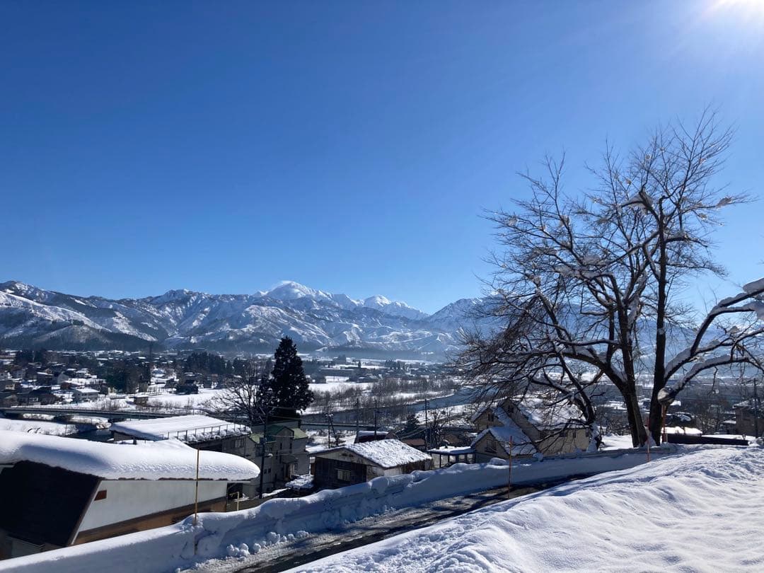 令和7年魚沼産コシヒカリ精米30kg