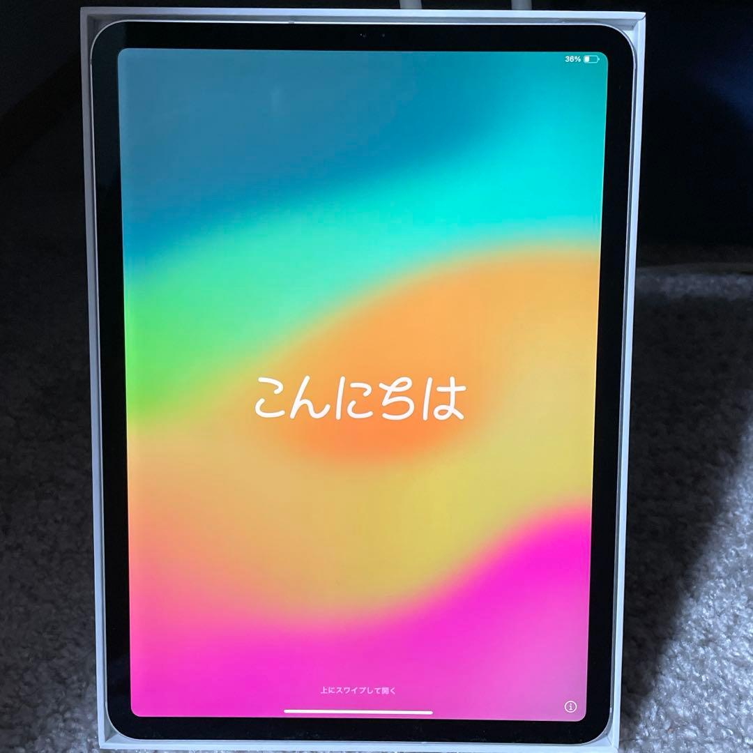 iPad Pro 11 第1世代 256GB セルラー MU172J/A