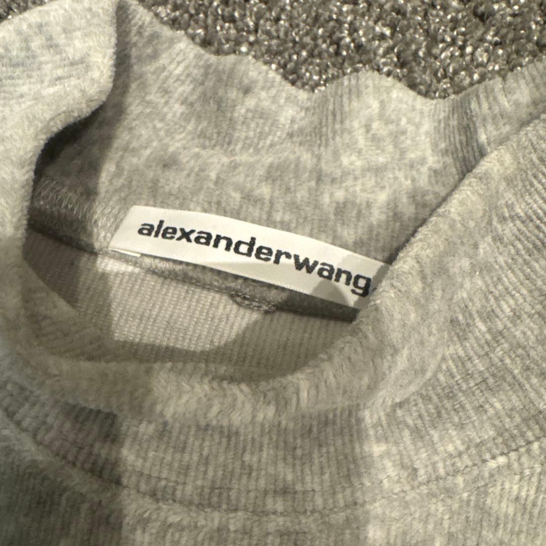 alexanderwang グレー クロップドTシャツ
