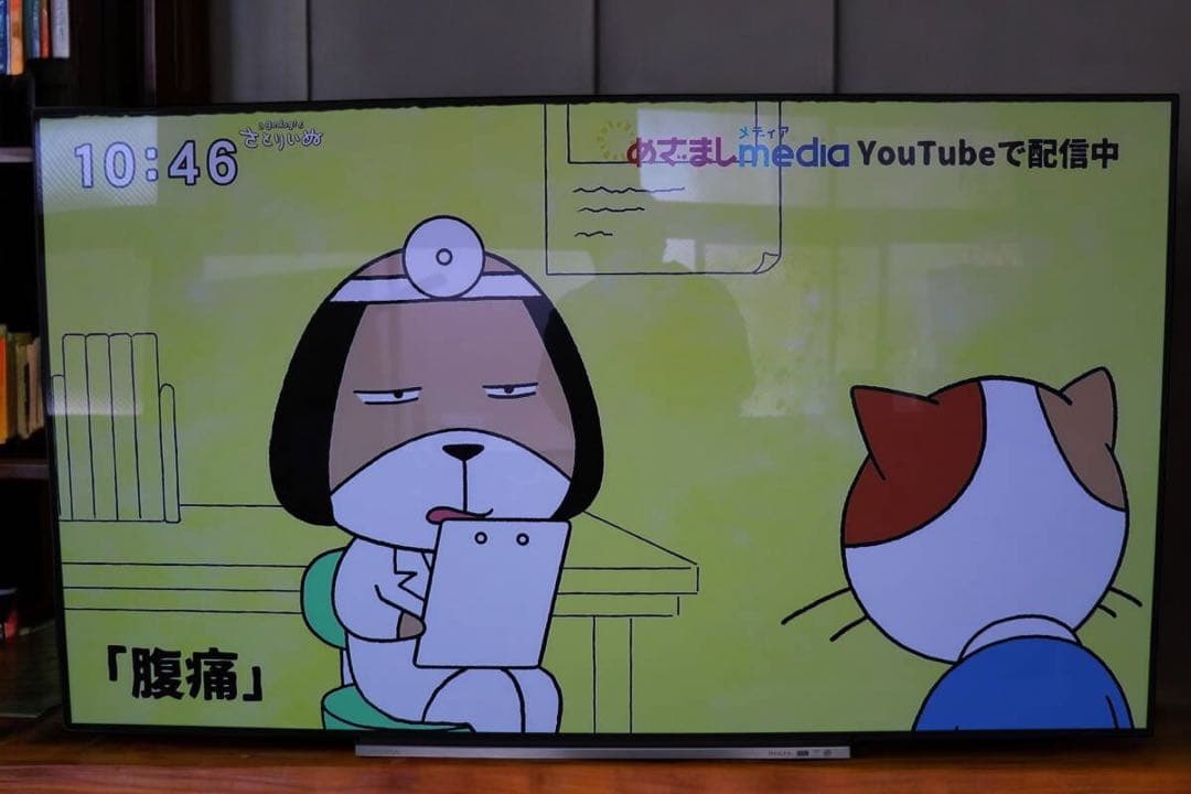 東芝レグザ　55X930　4K有機EL 55インチ