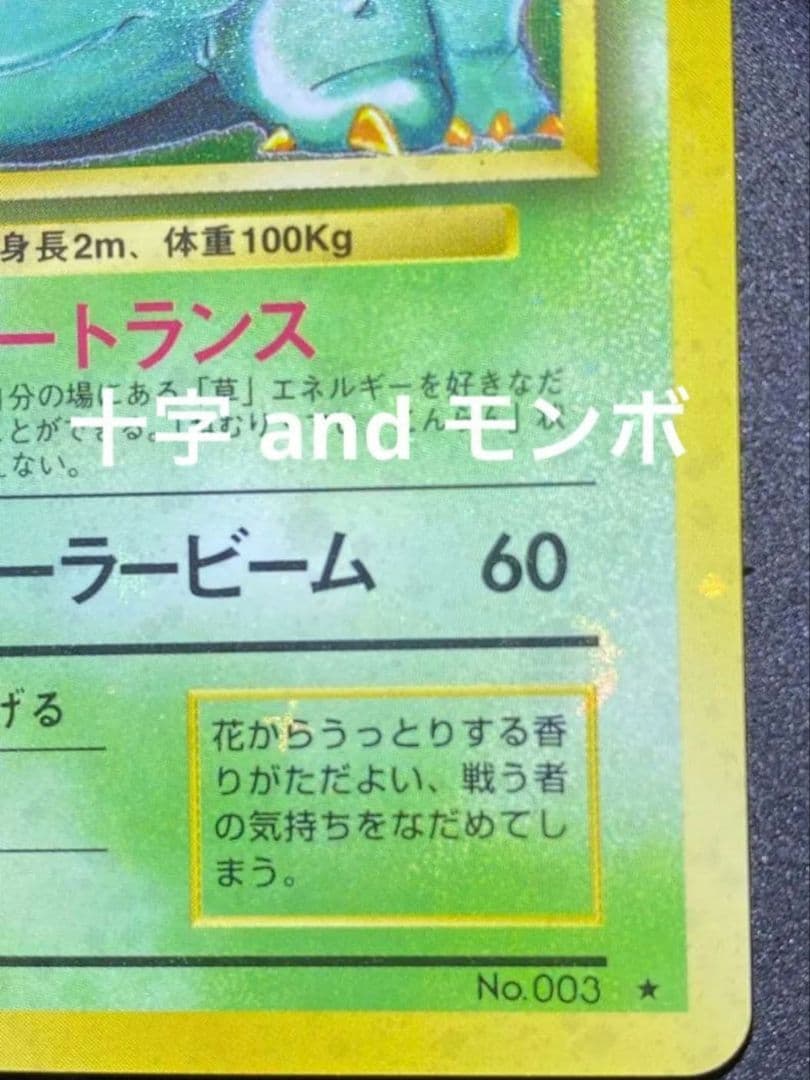 【ars8】フシギバナ　旧裏　全面ホロ　渦巻き　十字　モンボ