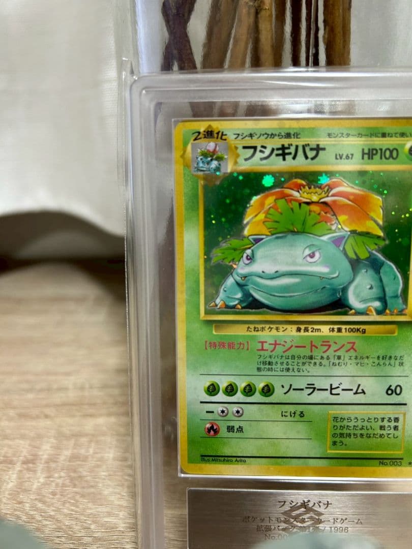 【ars8】フシギバナ　旧裏　全面ホロ　渦巻き　十字　モンボ