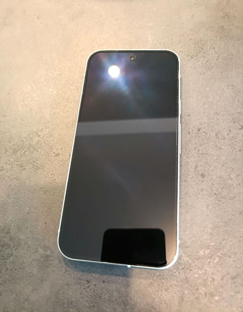 【ほぼ新品】Google Pixel 9 Winter Green SIMフリー