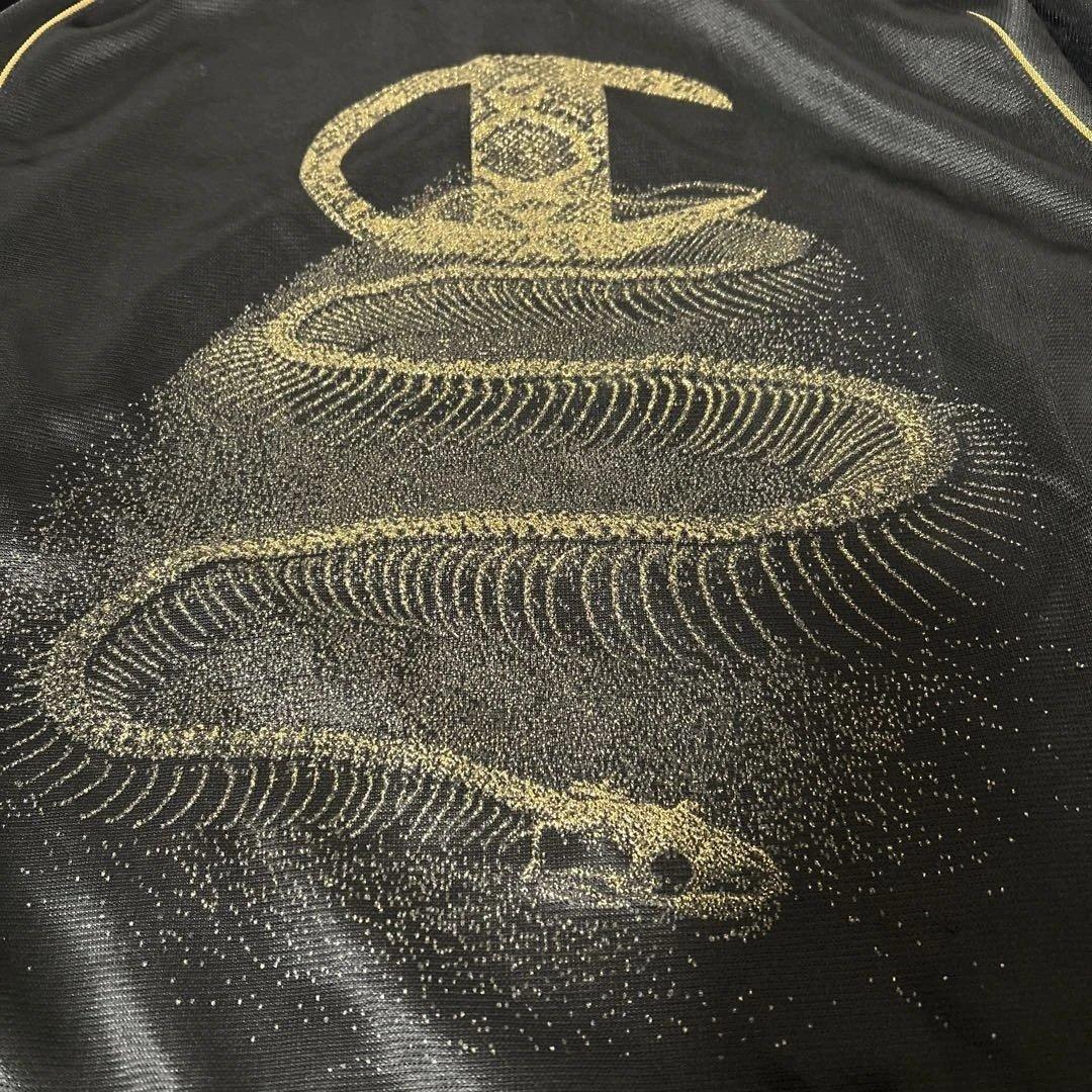 レア✨チャンピオン ドレスキャンプ コラボ　ジャージ　ゴールドスネーク　パイソン