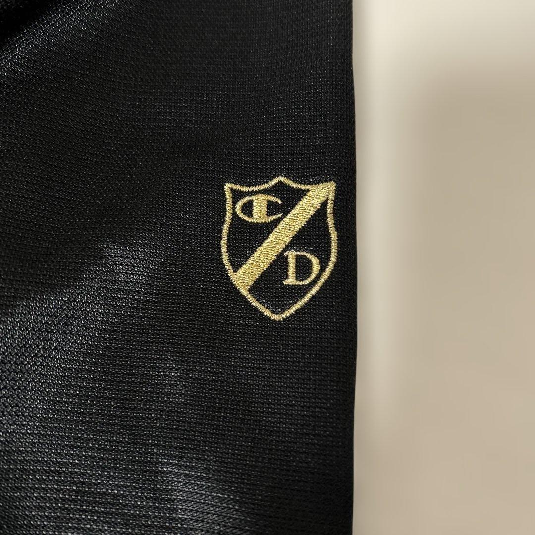 レア✨チャンピオン ドレスキャンプ コラボ　ジャージ　ゴールドスネーク　パイソン