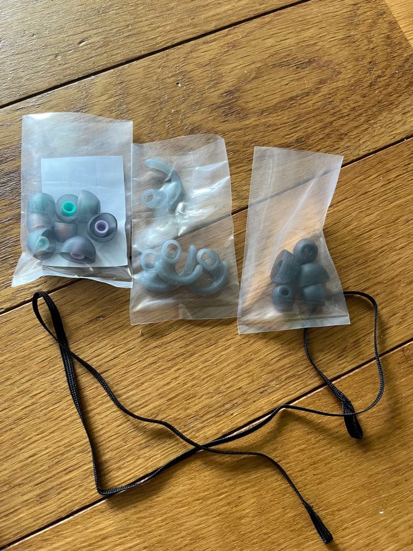 【箱あり】SONY WF-SP900 ワイヤレスイヤフォン