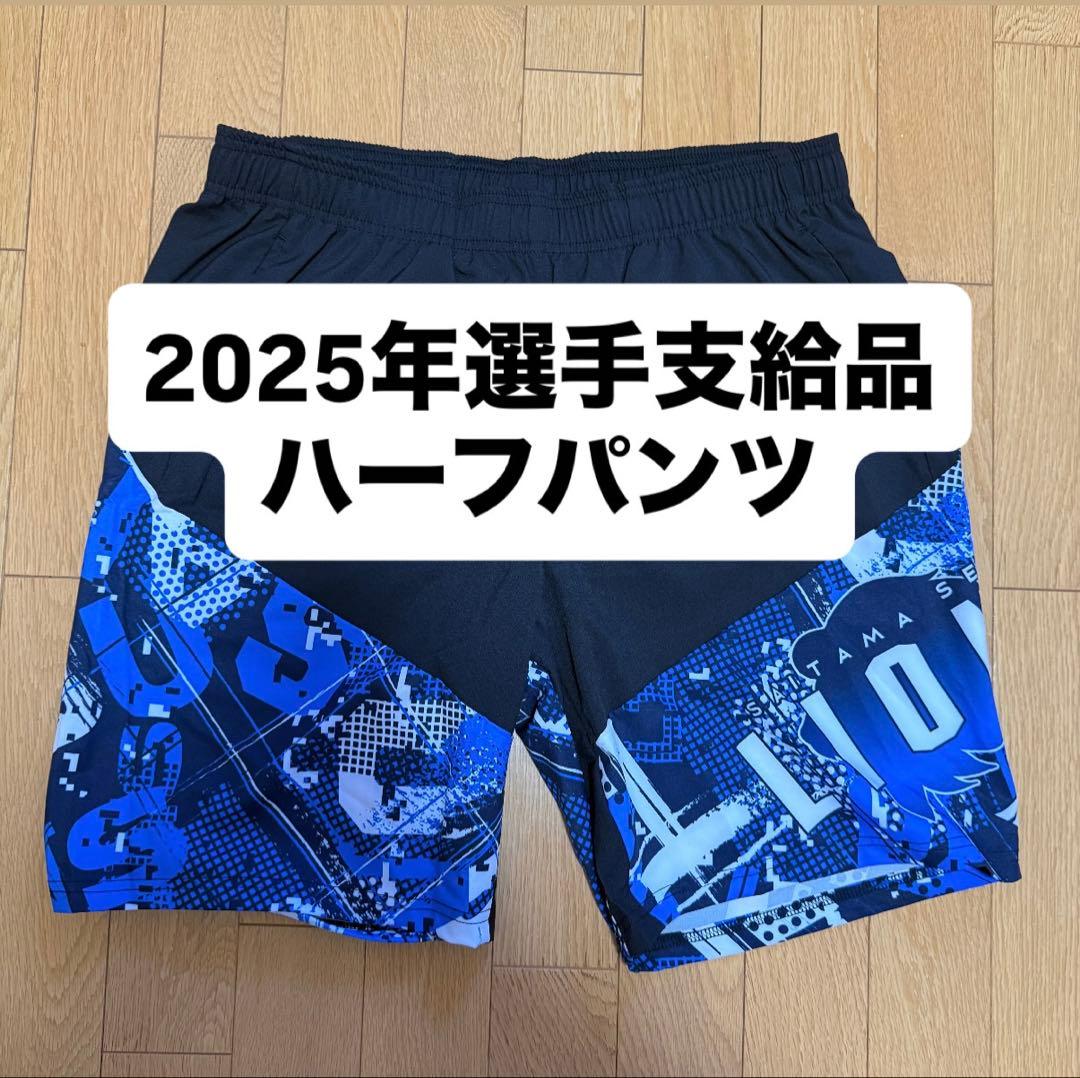 埼玉西武ライオンズ 選手支給品 オーセンティックハーフパンツ