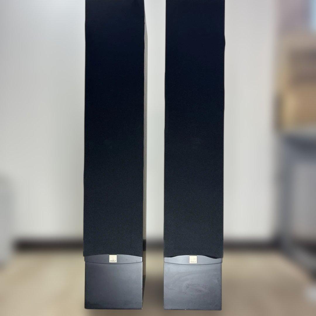 動作確認済みDALIトールボーイ型スピーカー「IKON 6 MK2」 ♣️0431