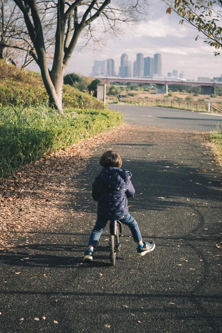 mauLR様　Leica Elmar 65mm F3.5 Visoflex