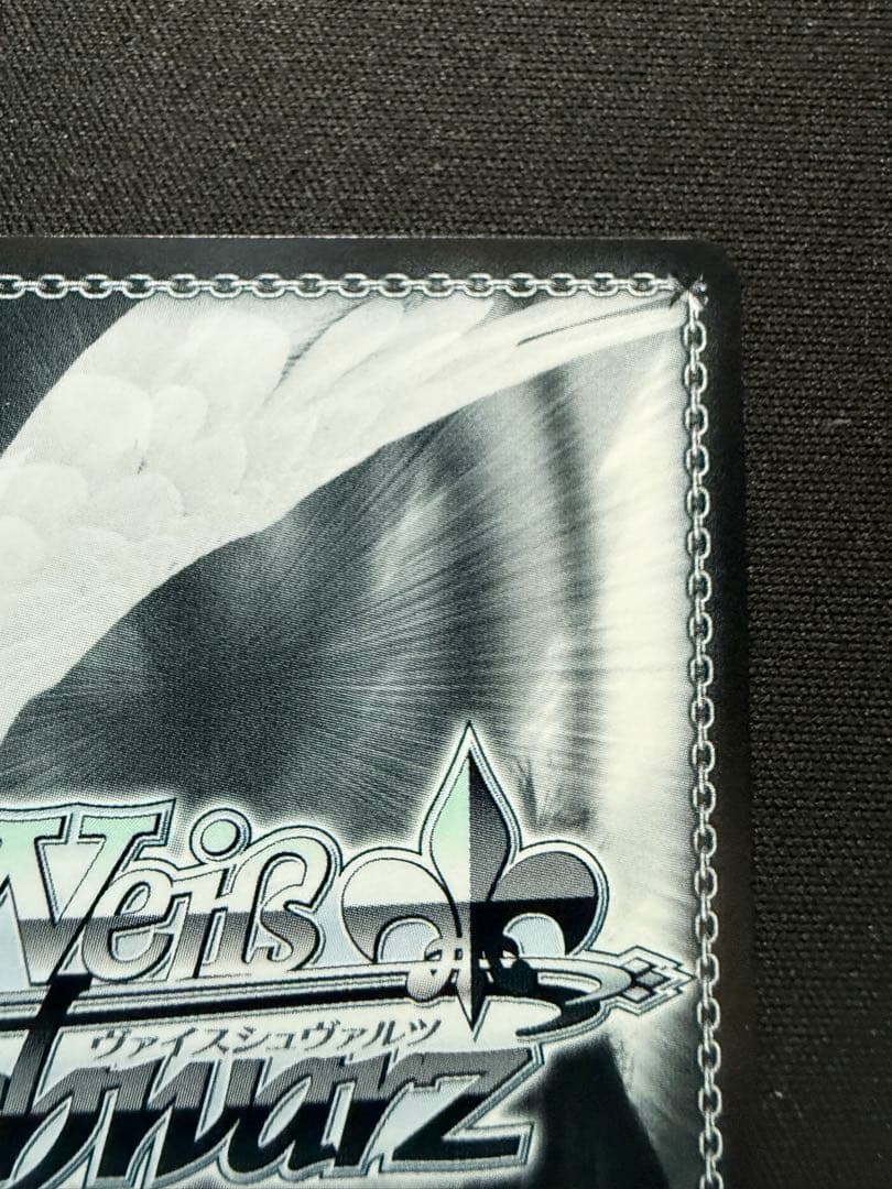 芽生えた信頼　中野五月　SSP