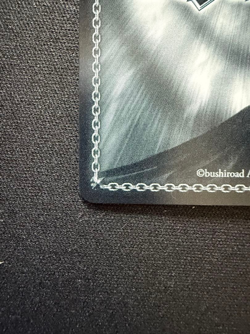 芽生えた信頼　中野五月　SSP