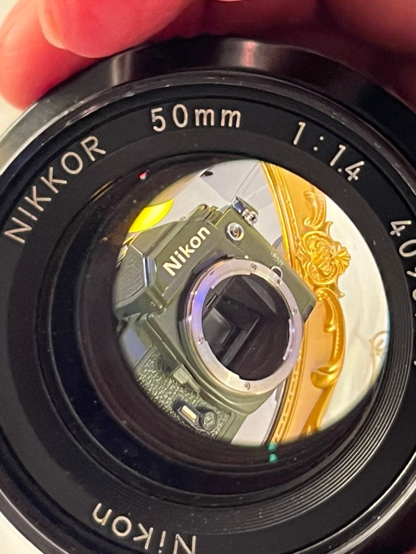 Nikon FM2 New カスタム ミリタリーグリーン ワンオフ塗装ボディ