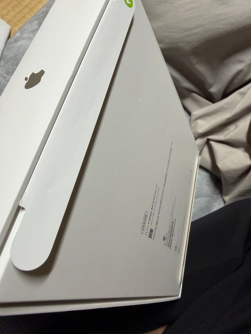 iPad本体 Ipad Air 11 inc M3 256gb (2025)