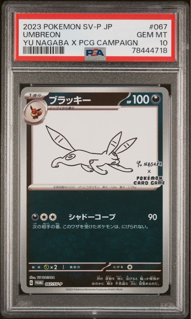 2023 ポケモンカード ブラッキー PSA 10