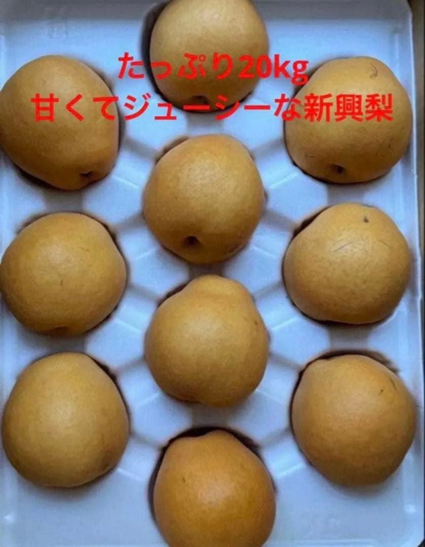 お得‼️たっぷり20kg 甘くてジューシー　新興梨