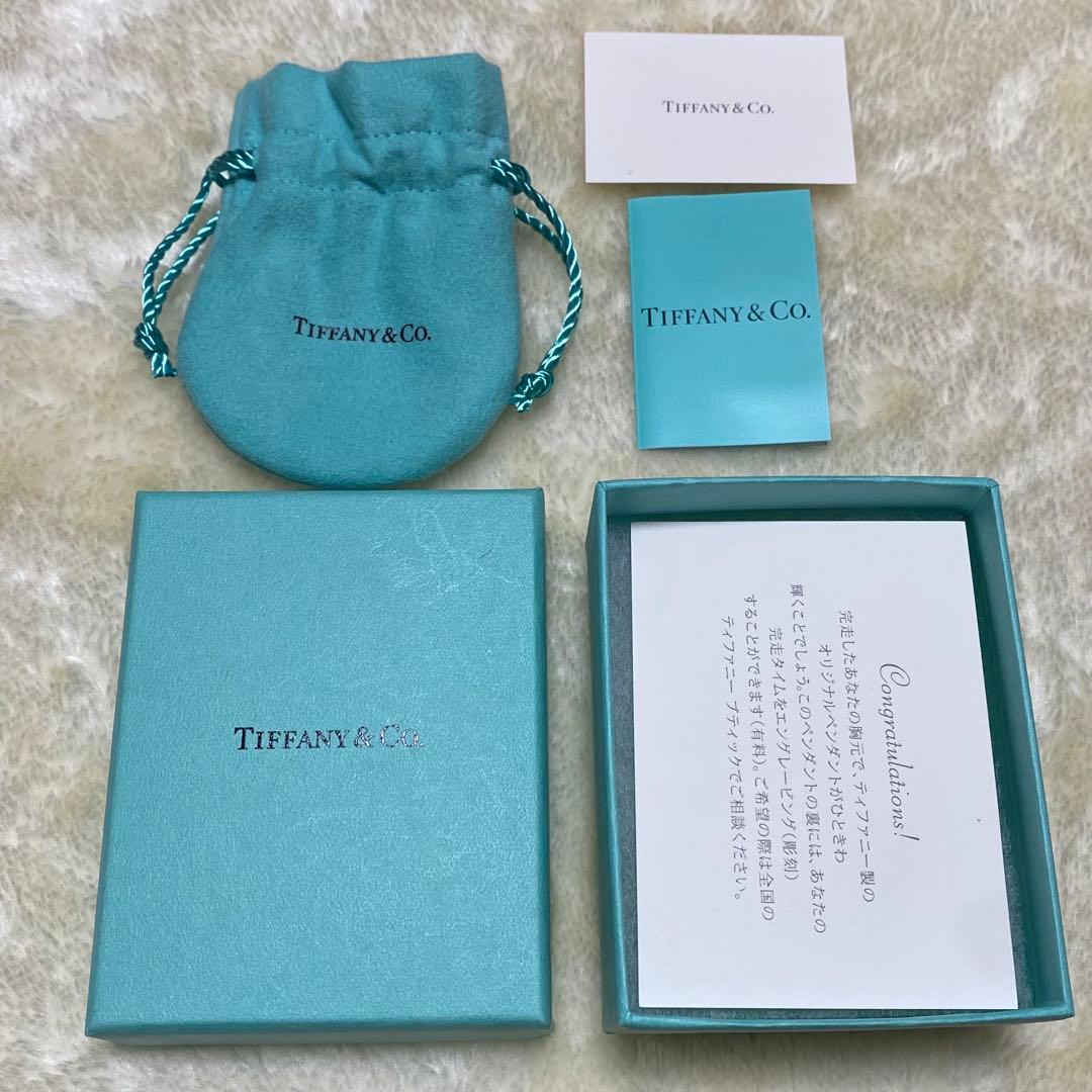 付属品完備❗️未使用保管品✨ティファニー　ネックレスシルバーGOWOMEN2016