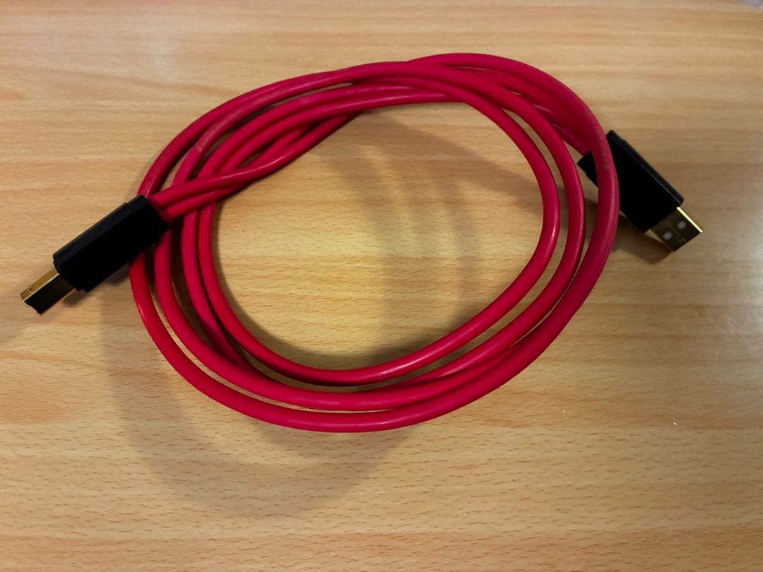 Acoustic Revive　R-AU1-PL 1m