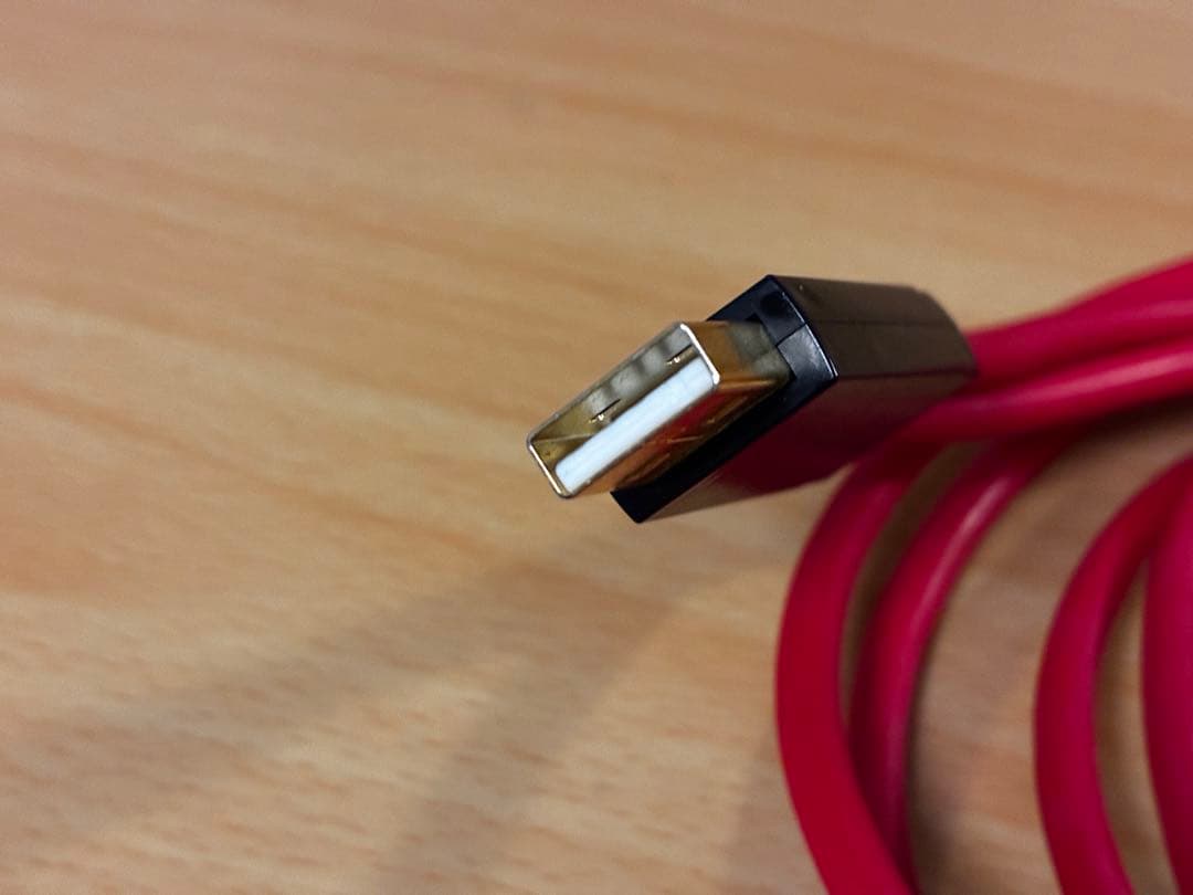 Acoustic Revive　R-AU1-PL 1m