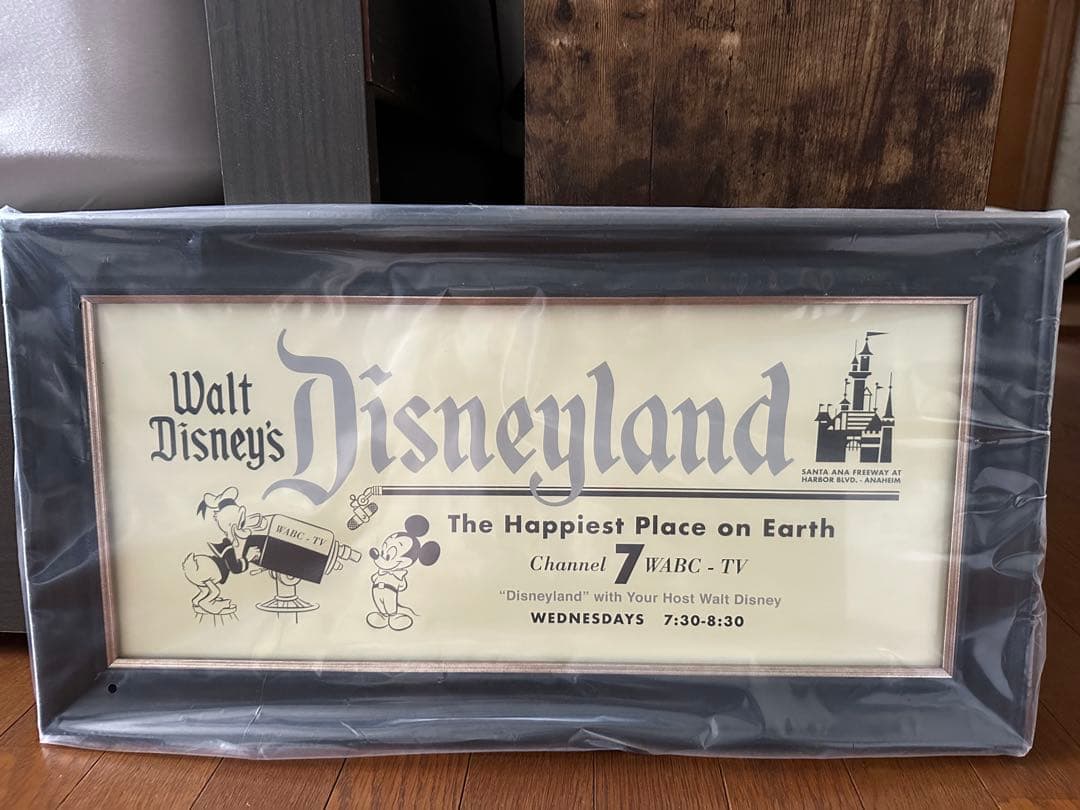 ディズニー　100周年ウォールアート