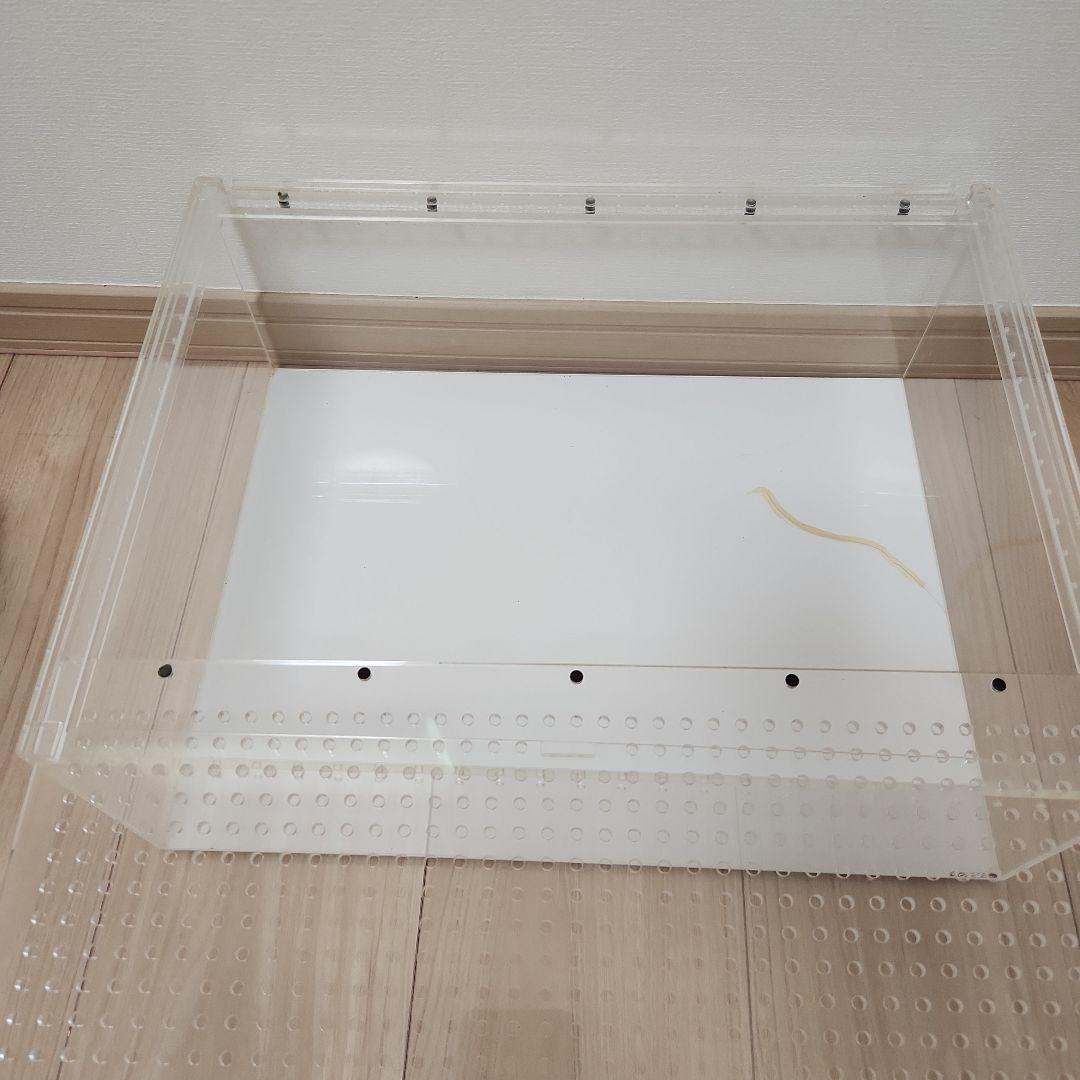 REPTI WILD レプタイルボックス2個 ワイド1個セット　おまけ付き