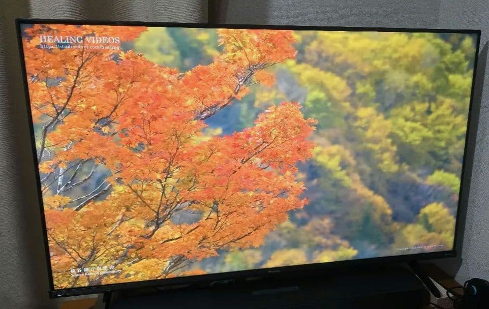 ハイセンス e6k 43　美品　24年3月購入