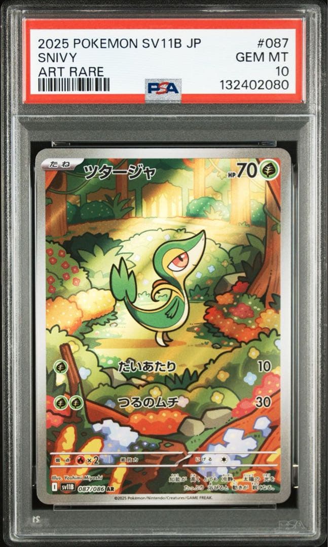【PSA10】ポケモンカード　ジャローダex SAR ツタージャ　ジャノビー