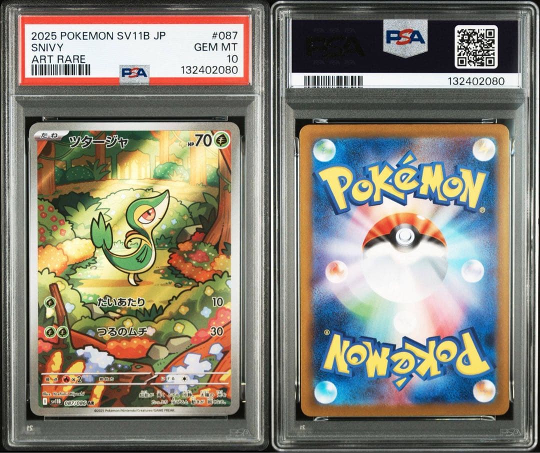 【PSA10】ポケモンカード　ジャローダex SAR ツタージャ　ジャノビー