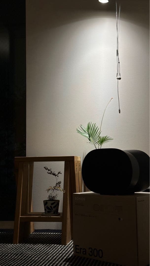 Sonos Era 300 ブラック