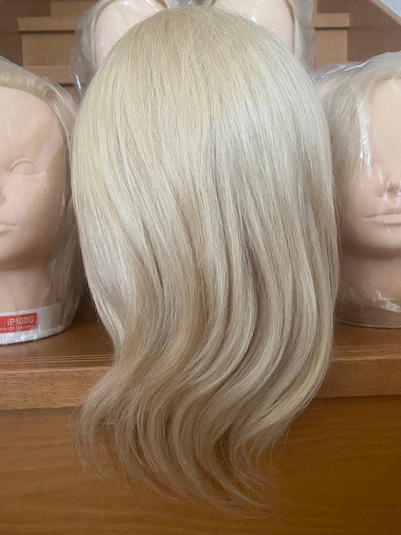 新品未使用 ウィッグカットカラーマネキン国試練習用iP100G 5体