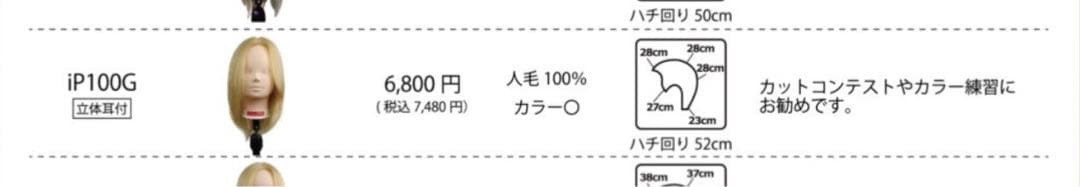 新品未使用 ウィッグカットカラーマネキン国試練習用iP100G 5体