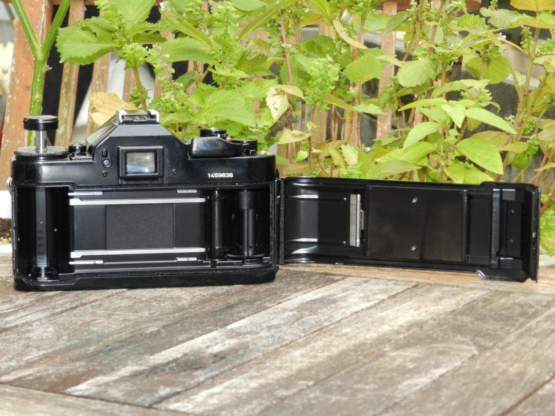 フィルムカメラ aliceCANON A-1 FD 50mm F/1.4 S.S.C