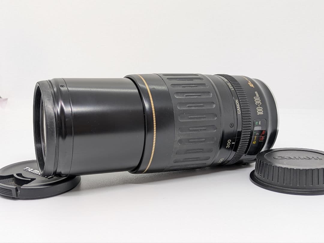 1月7日限定価格♪Canon EF 100-300mm USM