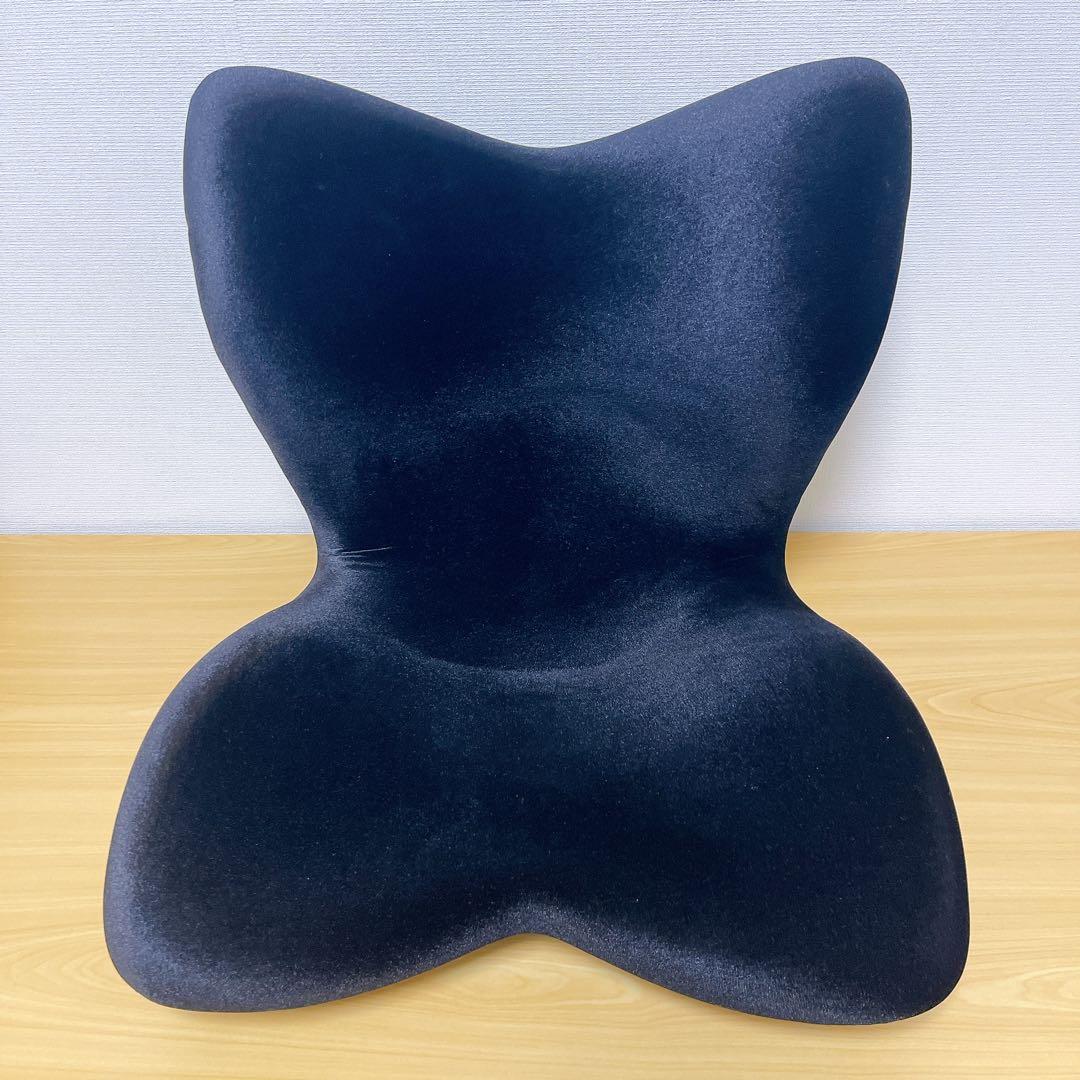 【美品】 Style PREMIUM DX スタイルプレミアムデラックス