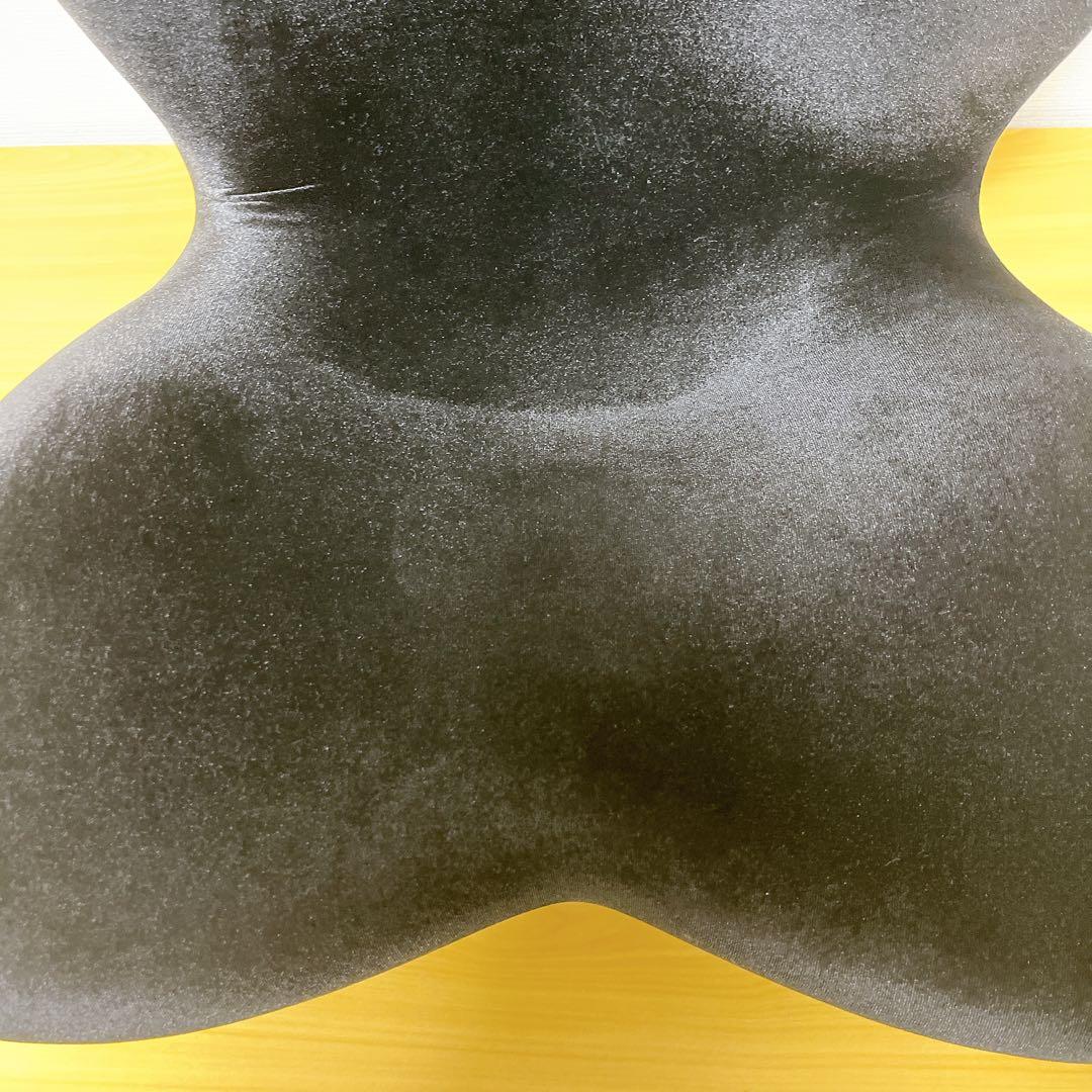 【美品】 Style PREMIUM DX スタイルプレミアムデラックス