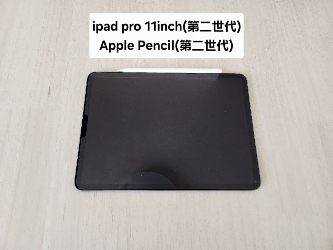 iPad pro (A2228) &Apple Pencil (第2世代)