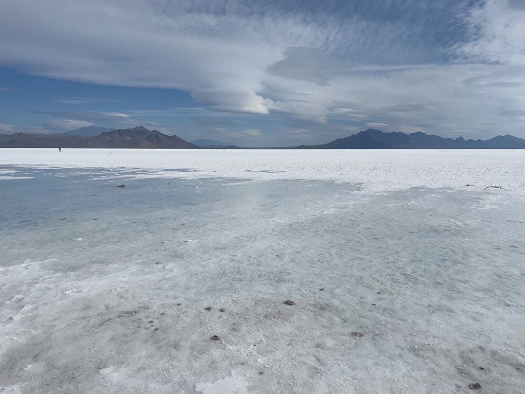 きなこもち　ニュースキン製品