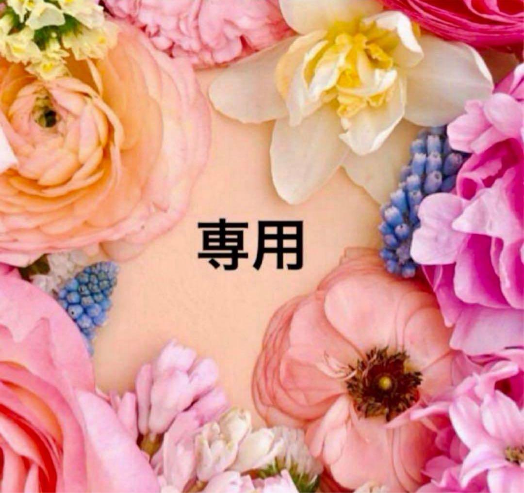 二階から溺愛1 おまとめ専用